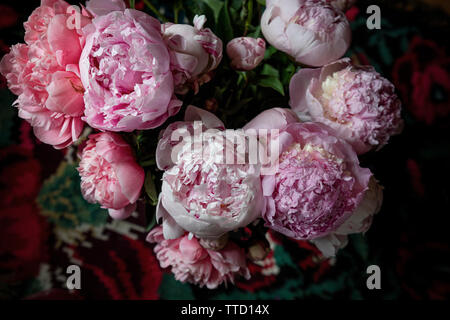 Ancora in vita con le peonie in un vaso in una casa Foto Stock