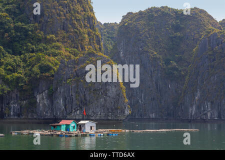 Floating villaggio di pescatori nella Baia di Ha Long vicino a Cat Ba Island, Hai Phong Provincia, Vietnam Asia Foto Stock