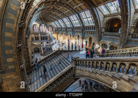 All'interno del Museo di Storia Naturale Foto Stock