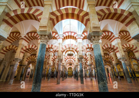 New Scenic 5 posti interni in vista della moschea-cattedrale di Cordoba. Andalusia, Spagna. Foto Stock