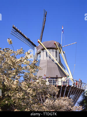 Mulino a vento in giardini Keukenhof Lisse, Zuid-Holland, il Regno dei Paesi Bassi Foto Stock
