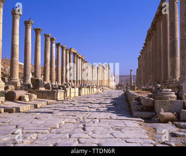 Cardio Maximus, antica città di Jerash (Gerasa), Irbid, Maan, Regno di Giordania Foto Stock