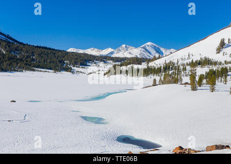 La congelati Tioga lago sulla Highway 120 (il Tioga Pass ) nella parte orientale della Sierra Nevada in California negli Stati Uniti. Giugno 2019. Foto Stock