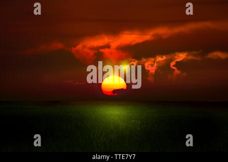 Uno splendido tramonto in Everglades della Florida attraverso un mare di erba è uno spettacolo che tutti dovrebbero vedere almeno una volta. Foto Stock