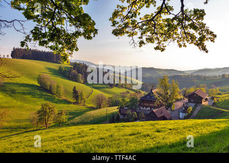 Lonely farm house nel paesaggio collinare, St.Märgen, Foresta Nera, Baden-Württemberg, Germania Foto Stock