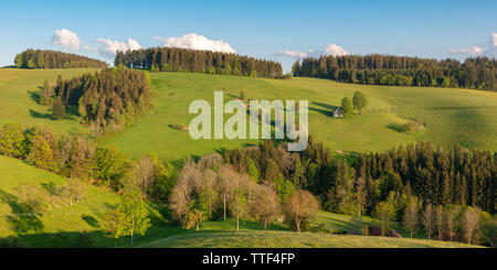 Lonely farm house nel paesaggio collinare, St.Märgen, Foresta Nera, Baden-Württemberg, Germania Foto Stock