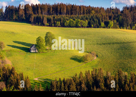 Lonely farm house nel paesaggio collinare, St.Märgen, Foresta Nera, Baden-Württemberg, Germania Foto Stock