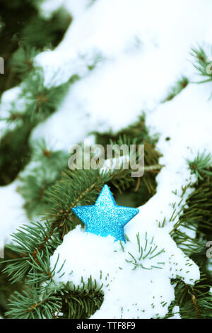Natale stella blu su un abete innevato ramo di albero Foto Stock