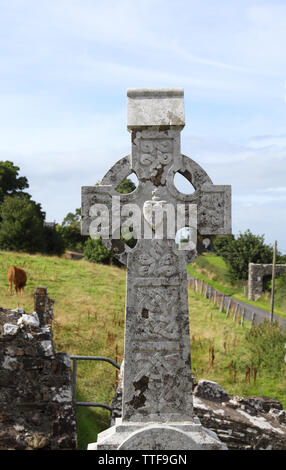 Fore elevata Cross in pre-Norman cimitero, St Feichin la chiesa, Fore, contea Westmeath, Irlanda Foto Stock