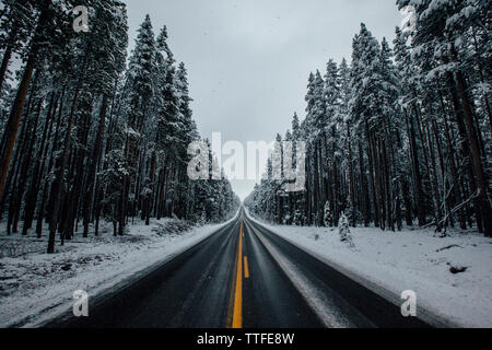 Nel mezzo della strada coperta di neve alberi contro il cielo Foto Stock