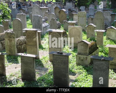 Jewish cementary Cracow Foto Stock