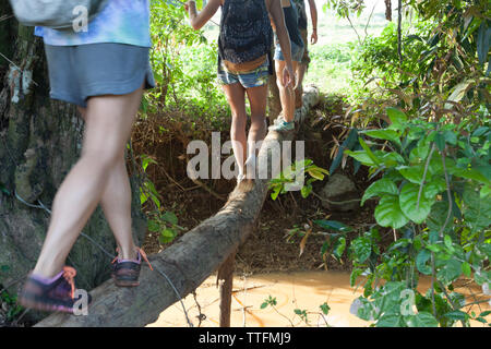 Tourist attraversare un fiume su un tronco caduto in ViÌ±ales, Cuba Foto Stock