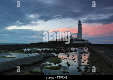 Saint Mary's Faro, Northumberland Foto Stock