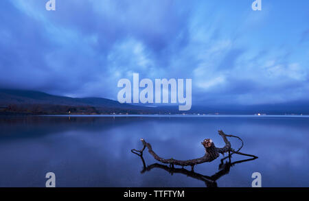 Tronco di albero in acqua a sunrise, il lago Yamanaka, Yamanashi Foto Stock