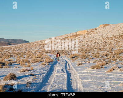 Una giovane donna cammina attraverso un paesaggio innevato. Foto Stock