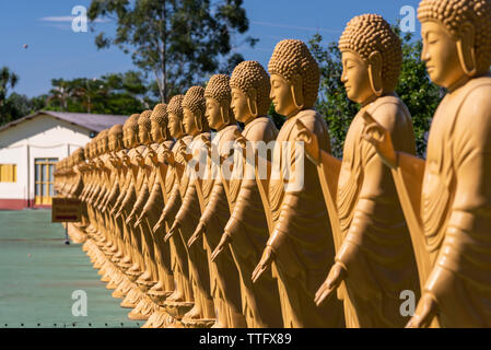 Statue di Buddha schierate sul tempio buddista Chen Tien Foto Stock