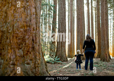 Madre e figlia cercare nel timore di Redwood forest. Foto Stock