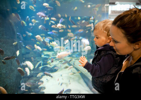 La Madre trattiene il suo figlio mentre guardando i pesci in acquario Foto Stock