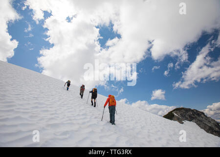 Quattro alpinisti viaggi attraverso un ghiacciaio verso il picco di cipressi. Foto Stock