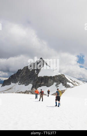 Vista posteriore di quattro alpinisti si avvicina il picco di cipressi, B.C. Foto Stock