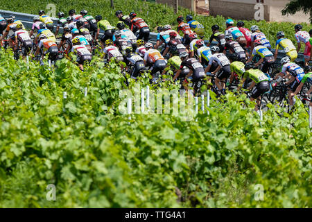 Una corsa in bicicletta nei vigneti di Brouilly e Mont Brouilly, due annate Beaujolais. Una due giorni di gara che attraversa il Beaujolais regione del vino Foto Stock