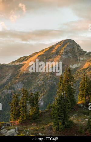 Alpenglow illumina il fogliame di autunno sul versante di una montagna, B.C. Foto Stock