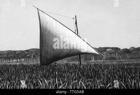 L'Italia, Toscana, Pisa, Coltano, 1921 Foto Stock