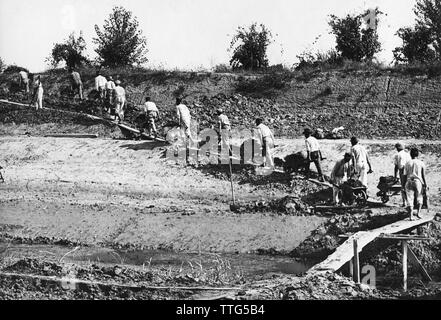 L'Italia, Toscana, Coltano, bonifiche, 1921 Foto Stock