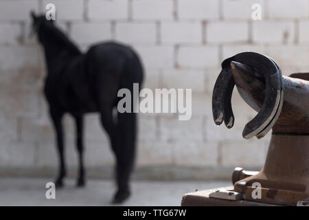 Dettaglio dei ferri di cavallo sull'incudine e cavallo in background Foto Stock