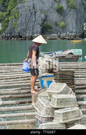 Pescatore di lavoro flottante sul villaggio di pescatori in Lan Ha Bay, Vietnam Foto Stock