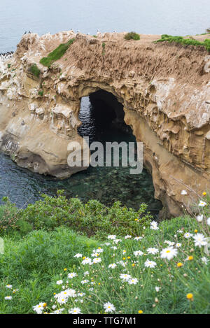 Sunny Jim Cove sulla La Jolla costa. Foto Stock