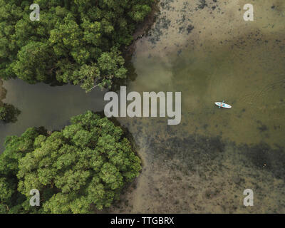 L'uomo kayak nella foresta di mangrovie Foto Stock