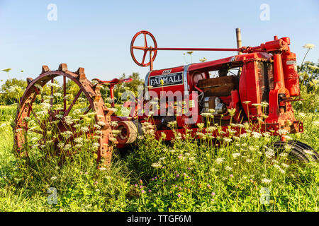 Vintage general-purpose trattore su display a vivere la storia azienda Foto Stock