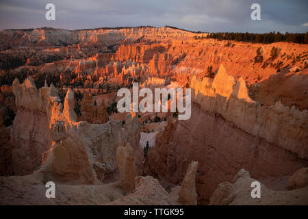 Colonne di sabbia nel Bryce Canyon di sunrise Foto Stock