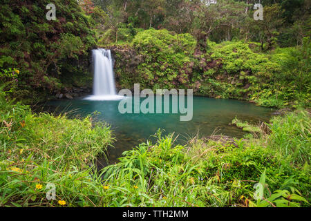 Lunga expo colpo di Puaa Kaa Falls (Pua'a Ka'a cade) sull'isola hawaiana di Maui a Mile 22 lungo la strada a Hana Foto Stock