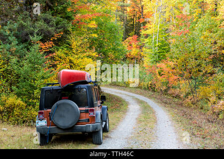 Jeep su una strada boschi nel Maine settentrionale di foresta. Caduta. Foto Stock