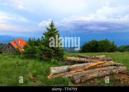 Bellissima vista del cielo nuvoloso, cottage, tronchi di alberi e montagne sullo sfondo, Serbia Foto Stock