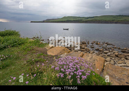 Kimmeridge Bay si trova all' interno di un marine zona speciale di conservazione, Dorset, England, Regno Unito Foto Stock