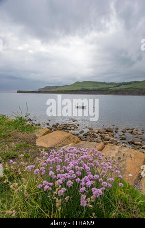 Kimmeridge Bay si trova all' interno di un marine zona speciale di conservazione, Dorset, England, Regno Unito Foto Stock