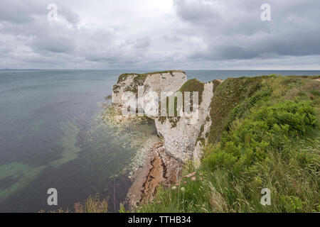 Vecchio Harry rocce al punto Handfast, Isle of Purbeck, Jurassic Coast, un sito Patrimonio Mondiale dell'UNESCO nel Dorset, England, Regno Unito Foto Stock