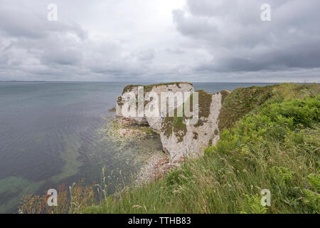 Vecchio Harry rocce al punto Handfast, Isle of Purbeck, Jurassic Coast, un sito Patrimonio Mondiale dell'UNESCO nel Dorset, England, Regno Unito Foto Stock