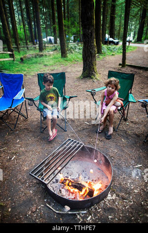 I bambini la tostatura marshmallows su una buca per il fuoco nella foresta Foto Stock