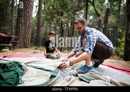 Padre e figlio impostazione tenda in foresta Foto Stock