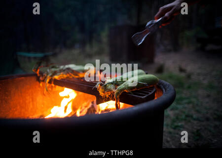 Immagine ritagliata dell uomo con le tenaglie che serve mentre prepara i calli su una buca per il fuoco Foto Stock