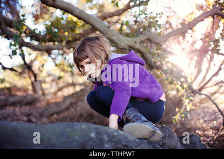 Ragazza arrampicata su albero caduto nella foresta Foto Stock