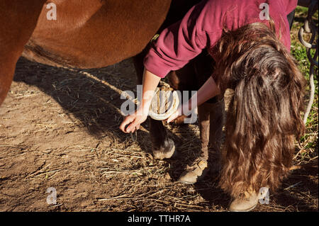 Donna di pulizia di zoccolo di cavallo durante la flessione sul campo Foto Stock