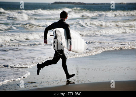 Vista posteriore del surfer che trasportano le tavole da surf durante l'esecuzione in riva al mare Foto Stock