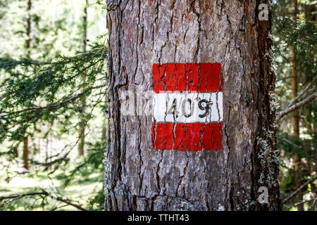 Immagine di un '409' segnavia dipinta su un albero a Cortina d'Ampezzo, Dolomiti, Italia Foto Stock