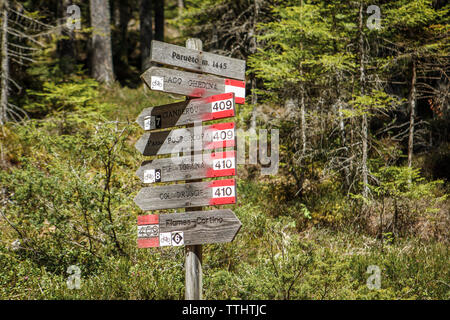 Sentiero in legno segni a Cortina d'Ampezzo, Dolomiti, Italia Foto Stock