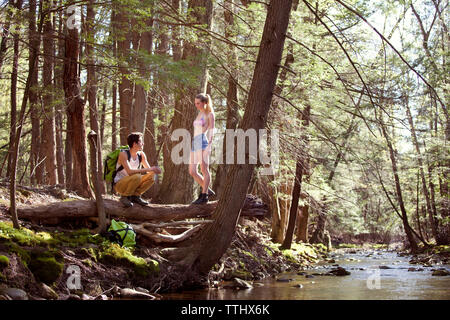 Donna che guarda l'uomo accovacciato sui caduti tronco di albero Foto Stock